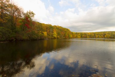 Gün batımında sonbahar manzara.