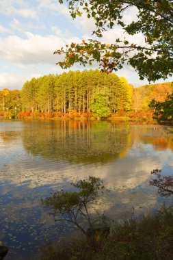 Gün batımında sonbahar manzara.