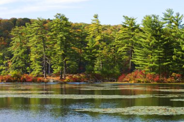 Gün batımında sonbahar manzara.