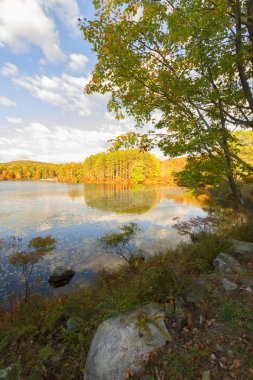 Gün batımında sonbahar manzara.