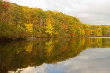 Gün batımında sonbahar manzara.