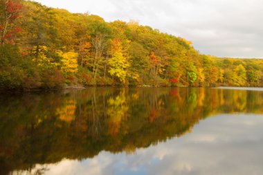 Gün batımında sonbahar manzara.