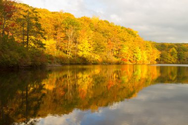 Gün batımında sonbahar manzara.