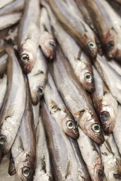 Färsk fisk till salu på skaldjur marknaden. — Stockfoto