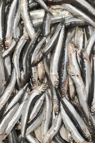 Peixes frescos para venda no mercado dos frutos do mar . — Fotografia de Stock