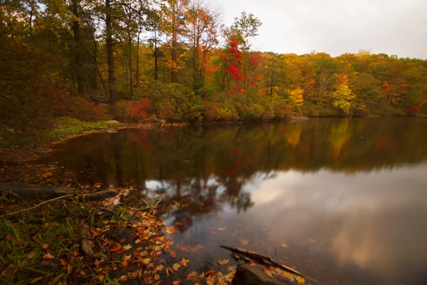 Fall landscape at sunset. — Stock Photo, Image