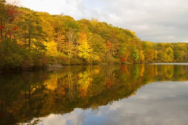 Gün batımında sonbahar manzara.