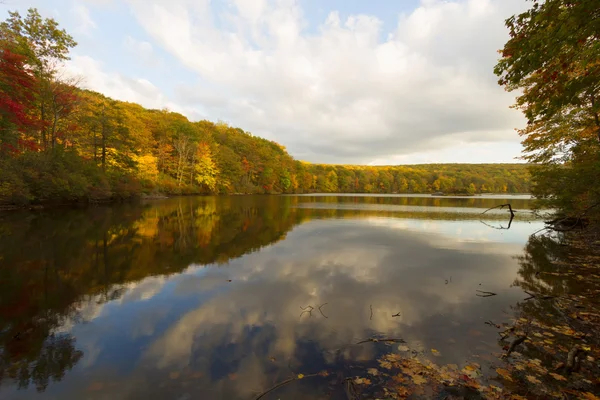 Gün batımında sonbahar manzara.