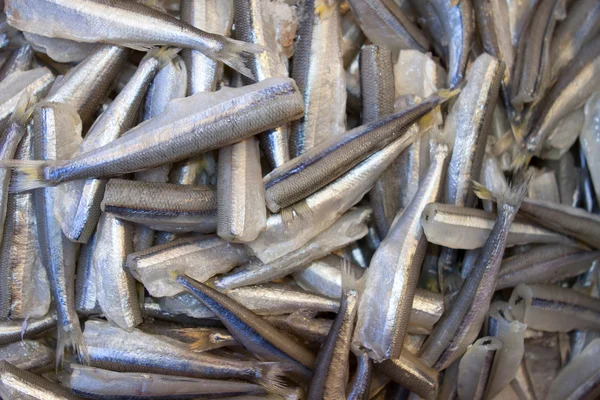 Peixes frescos para venda no mercado dos frutos do mar . — Fotografia de Stock