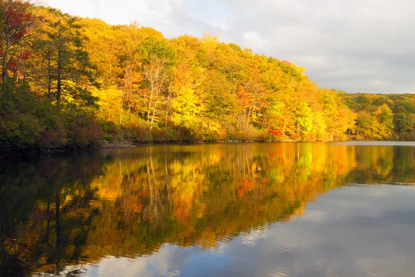 Herbstlandschaft bei Sonnenuntergang. — Stockfoto