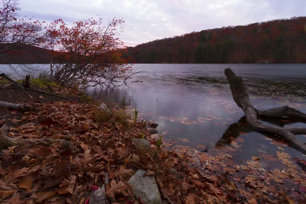 Paisaje de otoño al atardecer . — Foto de Stock