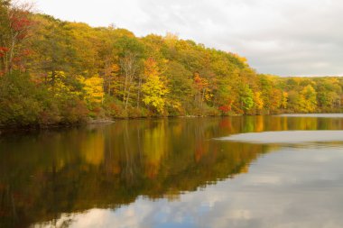 Gün batımında sonbahar manzara.