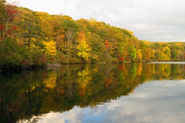 Gün batımında sonbahar manzara.