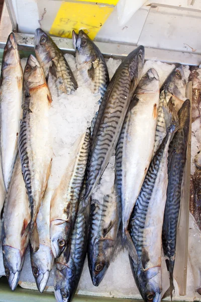 Świeże ryby na sprzedaż na rynku owoców morza. — Zdjęcie stockowe