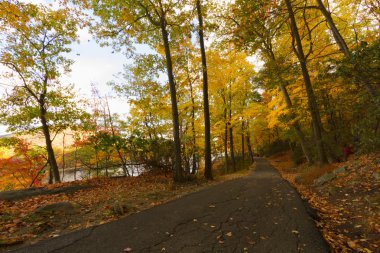 sonbahar manzarası.