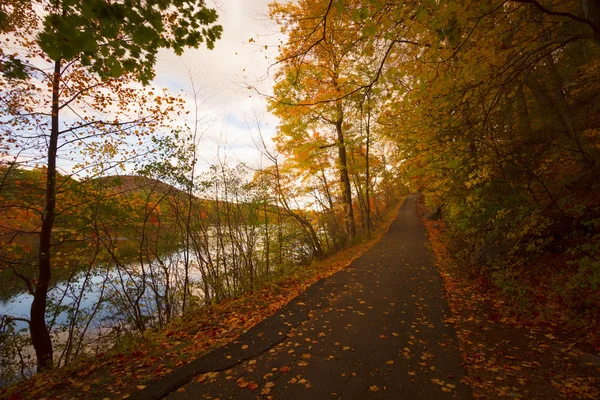 Fall landscape at sunset. — Stock Photo, Image