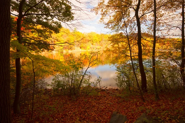 夕暮れの秋の風景. — ストック写真