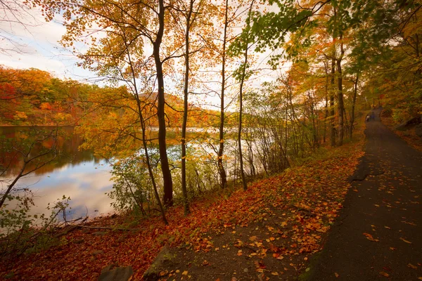 Fall landscape at sunset. — Stock Photo, Image