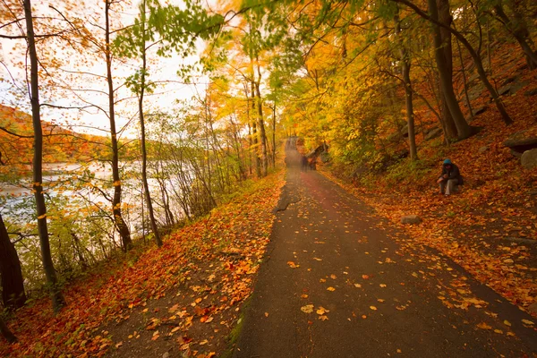 Fall landscape at sunset. — Stock Photo, Image