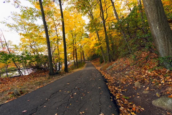 Paysages d'automne . — Photo