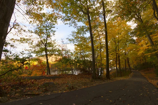 Paisaje de otoño . — Foto de Stock