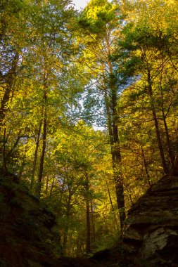 Renkli sonbahar sahne manzaralar.