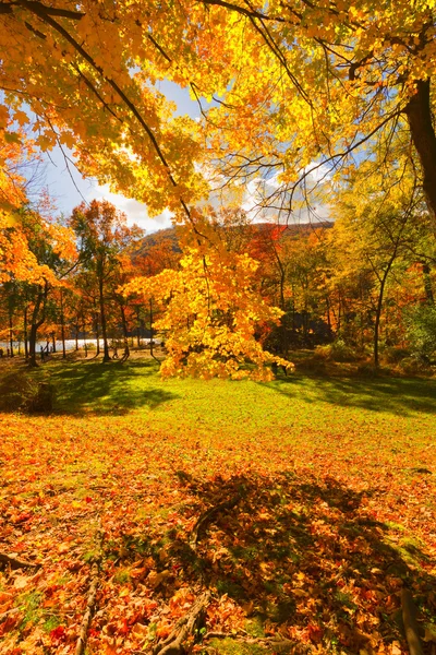 Красочные пейзажи осени . — стоковое фото