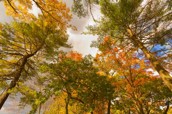 Paisajes coloridos de otoño . — Foto de Stock