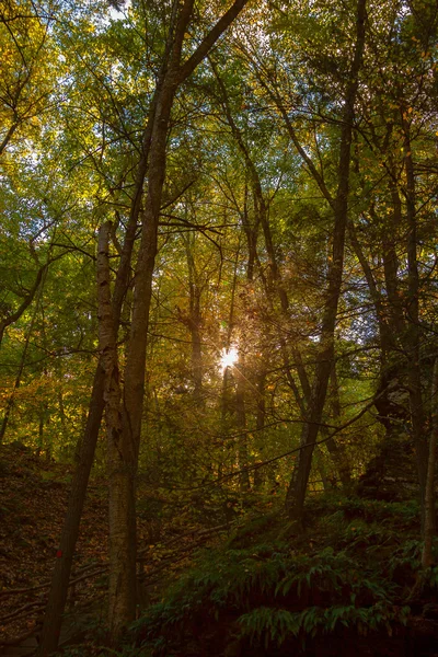 Kolorowe wchodzą scenerii krajobrazów. — Zdjęcie stockowe