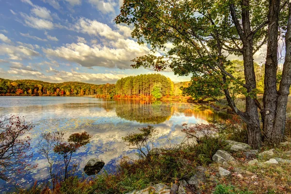 Colorful fall scenery landscapes. Stock Image