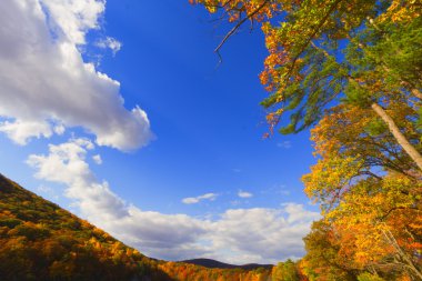 Renkli sonbahar sahne manzaralar.