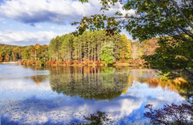 Renkli sonbahar sahne manzaralar.