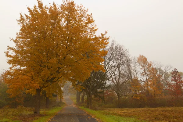 Paysages d'automne colorés paysages . — Photo