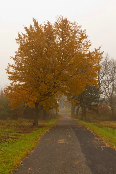 Paysages d'automne colorés paysages . — Photo