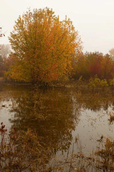 Bunte Herbst-Landschaft Landschaften. — Stockfoto