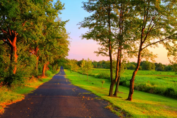 Kleurrijke herfst landschap bekijken bij zonsopgang. — Stockfoto