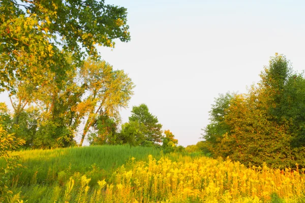 Kleurrijk vallen landschap landschappen. — Stockfoto