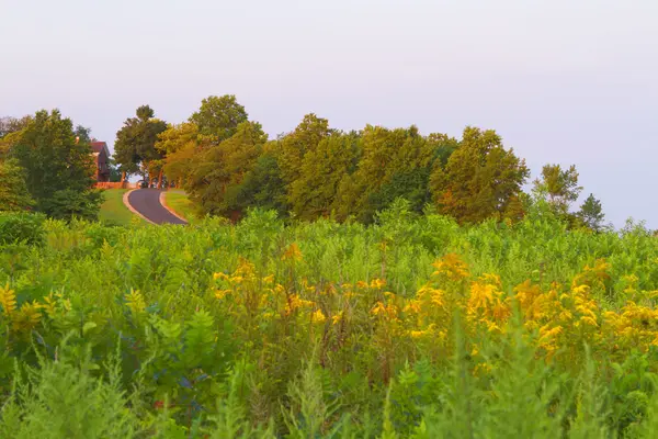 Kleurrijk vallen landschap landschappen. — Stockfoto