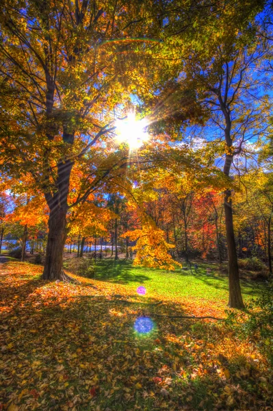 Colorful Fall scenery views. — Stock Photo, Image