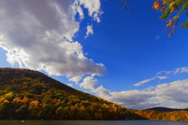 Paesaggi variopinti di autunno . — Foto Stock