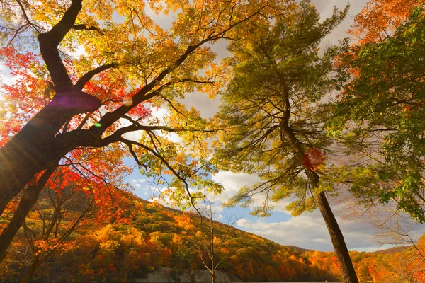 Paisagens coloridas de outono . — Fotografia de Stock