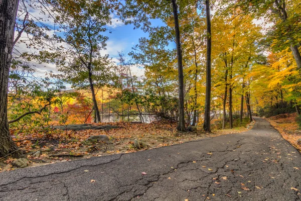 Paisajes coloridos de otoño . — Foto de Stock