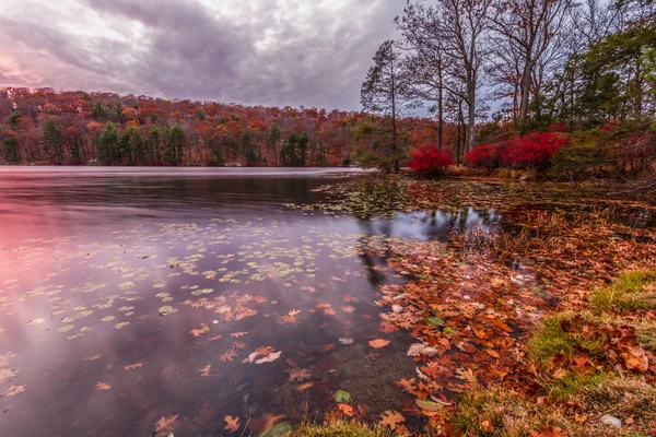 Paisajes coloridos de otoño . —  Fotos de Stock