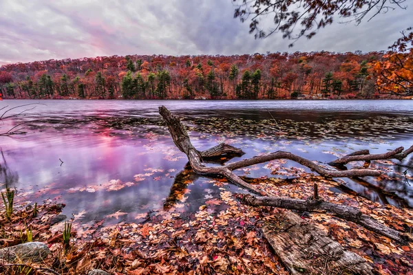 Paisajes coloridos de otoño . —  Fotos de Stock