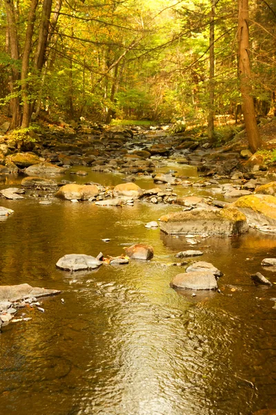 Colorful fall scenery landscapes.