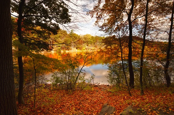 Paisajes coloridos de otoño . —  Fotos de Stock