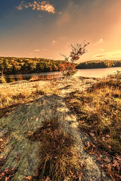 カラフルな秋の風景風景. — ストック写真