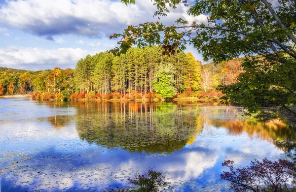 Paesaggi variopinti di autunno . — Foto Stock