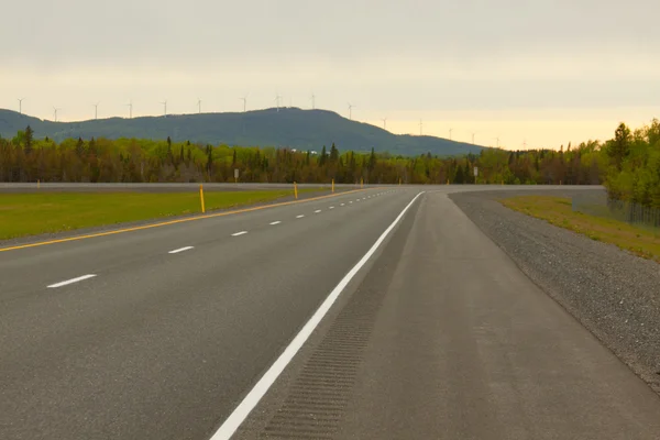 Paved road. — Stock Photo, Image