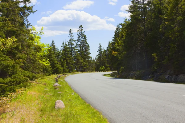 Paved road. — Stock Photo, Image